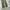 Coen japan wide chino pants photo 5