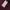 2XU Windbreaker Reflectif Jacket photo 10