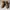 Danner cascade clovis model monkey boots outdoor hinking vib photo 7