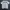 Starrisky Embroidery White Tshirt