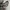 RARE CROCCS SANDAL REALTREE photo 3