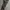 CAMO CARGO UTILITY SHERPA LONG PANTS | CELANA PANJANG | CLWM