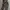 UNIQLO CAMO UTILITY FLEECE LONG PANTS | CELANA PANJANG | CLW