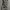 HCO 1922 CAMO MULTI POCKET CARGO LONG PANTS | CELANA PANJANG photo 3