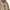 Pair Shine japan military canvas fur jacket photo 3