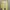 Minimalist Shirt Wanita yellow photo 1