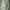 Fatigue Jungle Military Jacket Baker Street photo 1