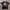 Supreme Support system big logo gravity taggar photo 1