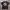 Supreme Support System Big Logo Gravity Taggar