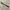 Vintage Aligator croco leather belt photo 3