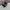 Vans Authentic OG Skate Pri Black photo 3