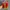 Cristian louboutin authentic hels photo 6
