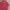 The Real McCoy's Streetwear Formal shirt Pria red photo 6