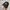 Gramicci Casual Hat Pria black photo 1