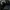 Converse Auckland Racer x Undefeated Rifle Green photo 9