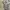 thisisneverthat Streetwear Casual Hoody Pria gray photo 4