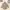 Atasan kebaya encim krem wanita size s-m  photo 1