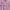 Kaos GANNI Dog Pink (new Release) CHN