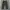 Hill Crop Cargo Track Pants / Parachute