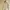 ZARA| Cardigan Butter Yellow Soft With Crystal Button- Size  photo 1