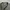 Carhartt Streetwear Casual Windbreaker Pria green photo 3