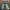 japanese brand natural leaf distressed camo jeans photo 8