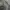 Nike Sportswear Windbreaker Pria white photo 7