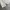 Nike Sportswear Windbreaker Pria white photo 3