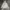 Nike Sportswear Windbreaker Pria white photo 1