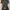 ZARA Minimalist Casual Crop top Wanita black gray photo 1