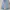 flare pants bluewash colour jeans photo 2