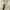 GAP Vintage Avant Garde Parka Pria cream photo 5