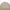 GAP Vintage Avant Garde Parka Pria cream photo 2