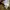 GAP Vintage Avant Garde Parka Pria cream photo 8