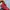 New Balance Sportswear Casual Sneakers Wanita red photo 2