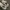 Nike Streetwear Sneakers Pria white gray photo 3