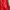 Tommy Hilfiger Luxury Biker Windbreaker Pria red photo 4