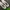 Nike Sportswear Sneakers Pria white black photo 3