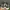 Nike Streetwear Sneakers Pria multicolor photo 4