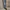 LEVI’S STRAUSS & CO LOOSE FIT JEANS photo 1