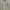 ZARA Coquette Casual Top Kids white photo 2