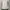 ZARA Coquette Casual Top Kids White