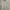 ZARA Coquette Casual Top Kids white photo 3