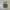 Vans authentic checkerboard vr3 photo 4