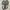 Newbalance 1906r harbor grey METALLIC  photo 6