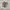 Newbalance 1906r harbor grey METALLIC  photo 1