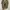 Dr. Martens core Adrian tassel photo 6