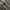 Converse Streetwear Sneakers Pria white black photo 3