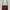 Red Tartan Plaid Pattern Shoulder Sling Bag photo 1