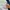 Sportswear Casual Windbreaker Pria white navy photo 4